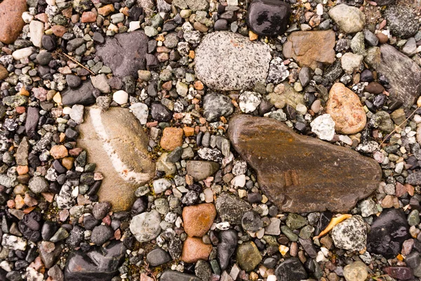 Common Rocks Rivers Edge Alaska Fossils Minerals Solid Rock — Stock Photo, Image