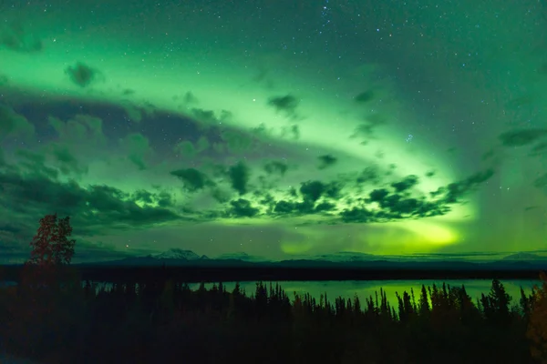 Willow Lake Northern Lights Aurora Borealis Alaska Night Sky — Stock Photo, Image