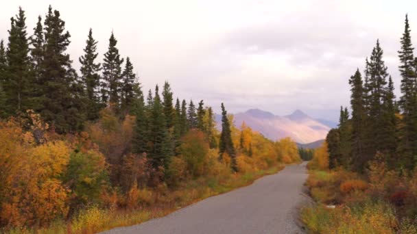 Estrada de cascalho primitiva leva à queda de outono Folaige Alaska — Vídeo de Stock