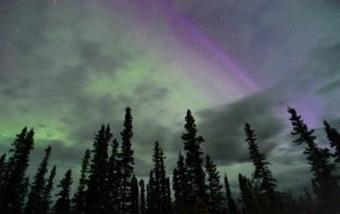 Kuzey ışıkları Aurora Borealis Alaska gece gökyüzü astronomi