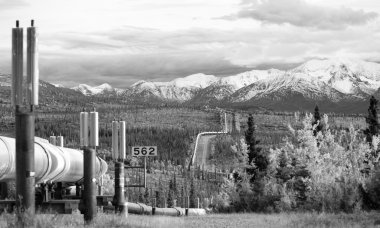 Petrol taşıma Alaska boru hattı engebeli dağ Landsc keser