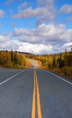 Sonbahar renk sonbahar manzara Alaska iki şeritli yol otoyol