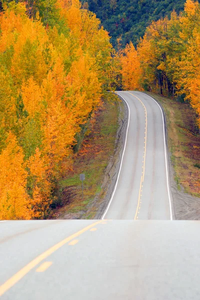 Fall Color Autumn Landscape Alaska Two Lane Road Highway — Stock Photo, Image