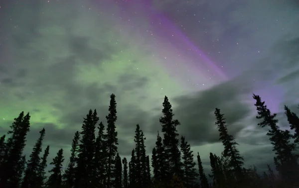 Northern Lights Aurora Borealis Alaska Night Sky Astronomy — Stock Photo, Image
