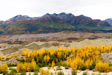 Kennicott tortu buzul Wrangell St Elias Dağları sonbahar Co