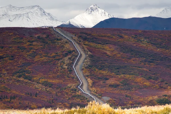 Trasporto di petrolio Alaska Pipeline Cuts Across Rugged Mountain Landsc — Foto Stock