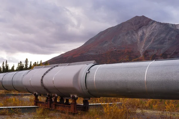 Olej transportu Alaska Pipeline przecina chropowaty górskiej scenerii. — Zdjęcie stockowe