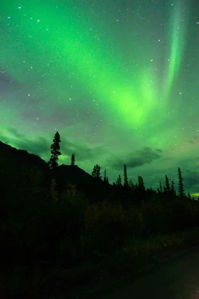 Montagne Wrangell aurora boreale Alaska notte — Foto Stock