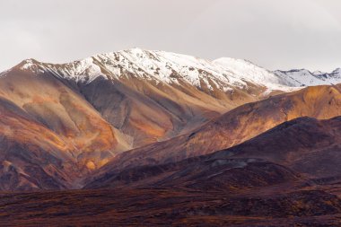 Alaska aralığı sonbahar sonbahar sezon sonbahar renk kar maskeli