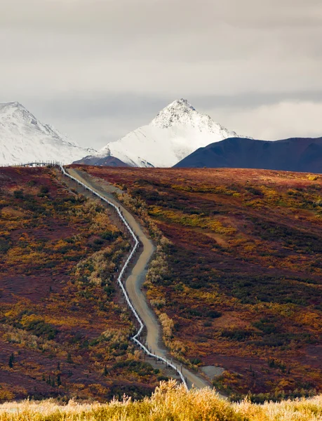 石油輸送のアラスカのパイプラインを横断険しい山の風景です。 — ストック写真