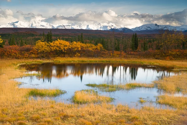 Val kleur Alpine Lake Alaska bereik bergtoppen herfst seizoen — Stockfoto