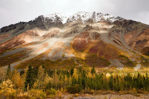 Val kleur sneeuw bedekte Alaska Range val herfst hoogseizoen — Stockfoto