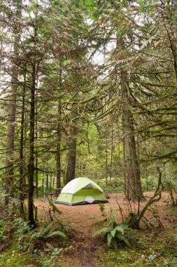 2 Kişilik Çadır Kamp Oxbow Bölge Parkı ağaçlık