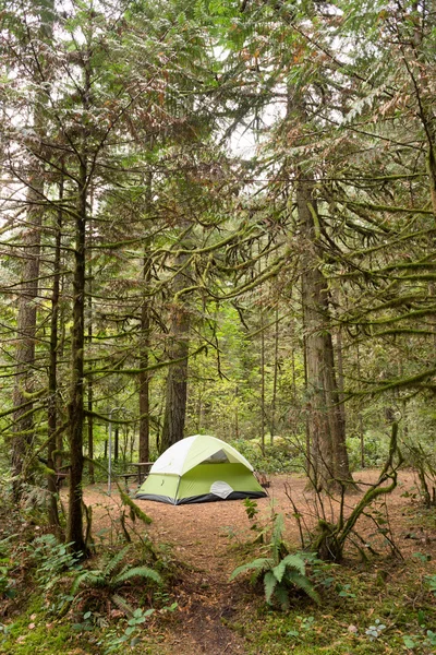 2 osoby namiot zalesiony Kemping Oxbow Regional Park — Zdjęcie stockowe