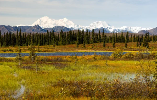 Denali Range Central Alaska Wilderness Area Laghi di montagna — Foto Stock