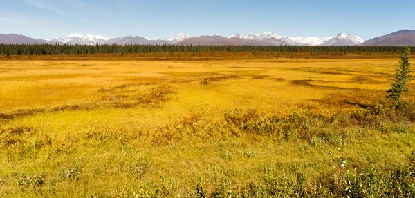 Área silvestre de Denali Range Central Alaska — Foto de Stock