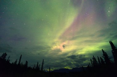 Aurora Borealis ortaya uzak Alaska Bulutların arasından