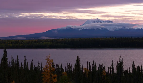 Weidensee südöstlich alaska wrangell st. elias nationalpark Stockbild