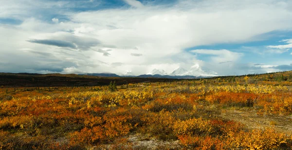 Сезон осени в горах Аляски - смена наземного покрытия — стоковое фото