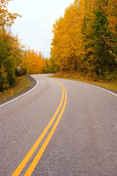Dubbla gula linjer falla Highway Alaska Highway transport — Stockfoto