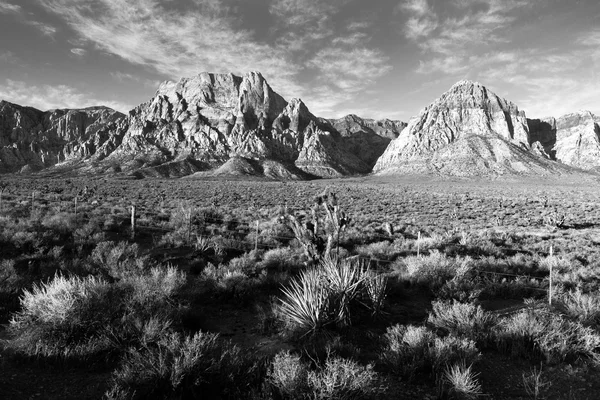 Red Rocks Desert Sunrise Nevada United States — Stock fotografie