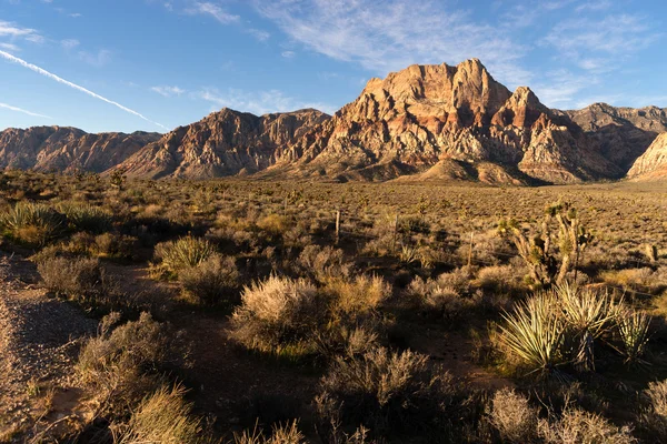 Formations rocheuses géologiques Red Rock Canyon Las Vegas USA — Photo