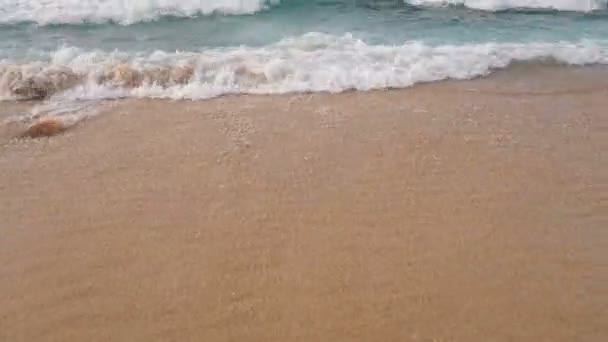 North Shore Oahu na Hawajach Bonsai rurociągu Pacyfiku Stanów Zjednoczonych — Wideo stockowe