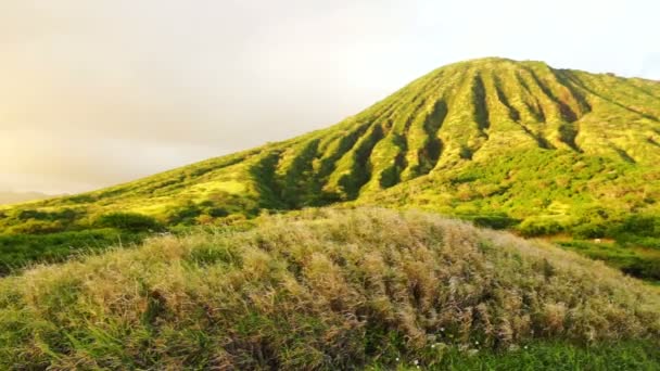 科科头欧胡岛夏威夷毛纳鲁尔湾 — 图库视频影像