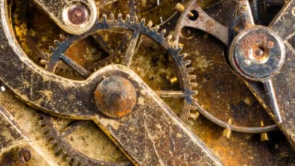 Vintage reloj oxidado reloj de bolsillo tiempo pieza movimiento engranajes Cogs — Vídeo de stock
