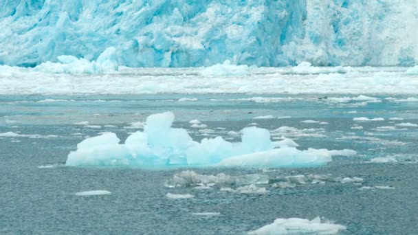 Geleira Aialik Fluxo de Gelo Oceano Pacífico Costa do Alasca — Vídeo de Stock