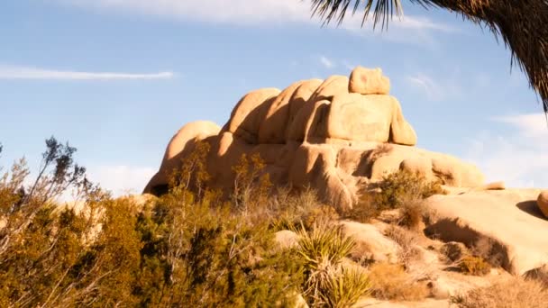 Joshua Tree Sunrise felhő táj California Nemzeti Park — Stock videók