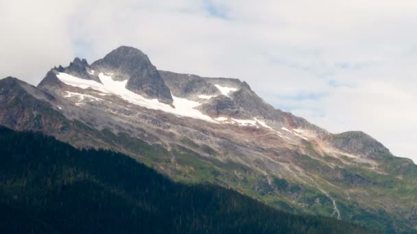 Alaska gletscher erholungsgebiet juneau nationalwald — Stockvideo