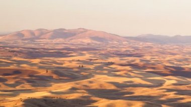 Rolling Hills tarım Palouse Bölge Doğu Washington tarım arazileri