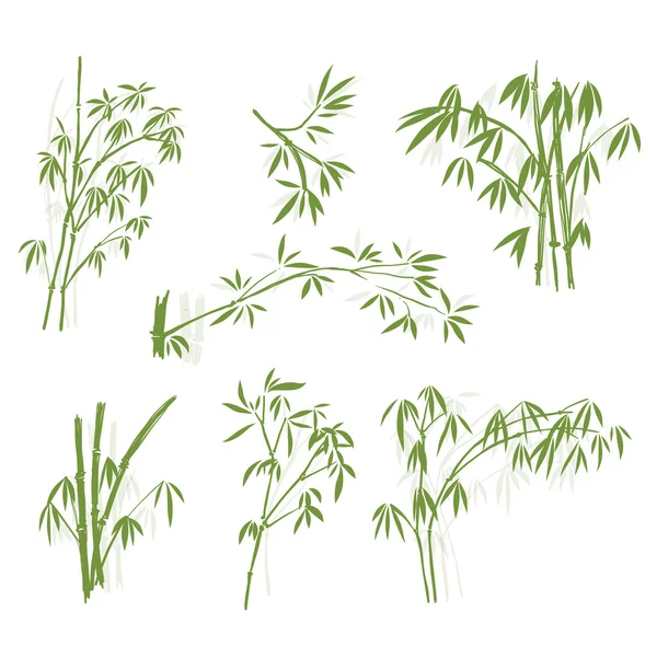 Bambus, izolované na bílém pozadí, s vysokým rozlišením — Stockový vektor