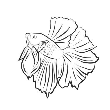 Handrawing illustration Siamese fish clipart