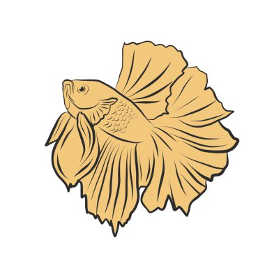 Handrawing resimde Siyam Balığı