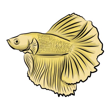 Handrawing resimde Siyam Balığı