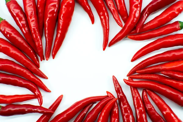 Red hot chili — Stock fotografie