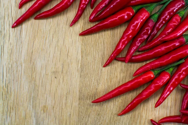 Red hot chili — Stock fotografie