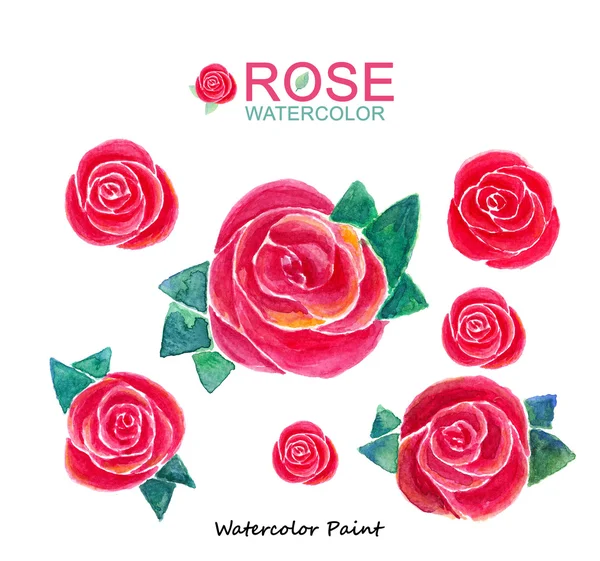 Červená růže květ, akvarel nátěr s vysokým rozlišením — Stock fotografie
