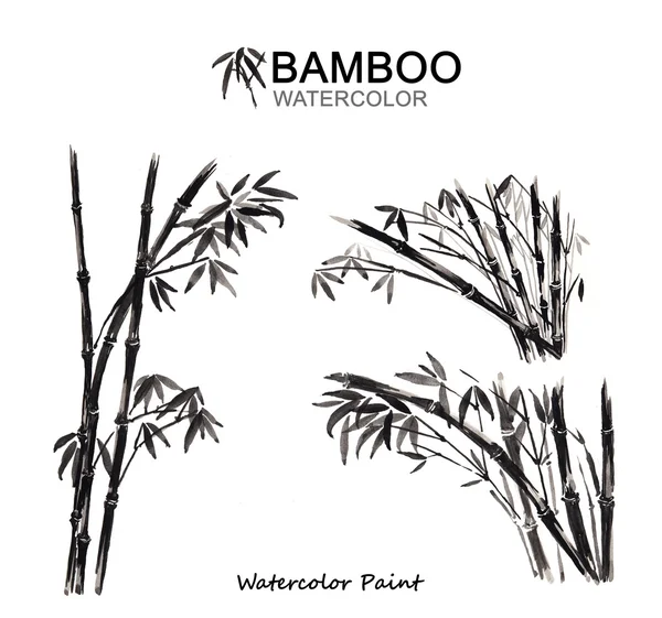 Aquarellfarbe Bambus, isoliert auf weißem Hintergrund, hohe Auflösung — Stockfoto