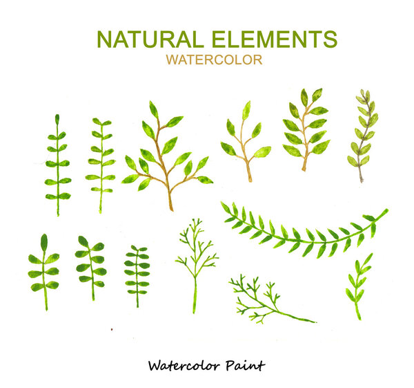 Natural Elements, Watercolor paint high resolution