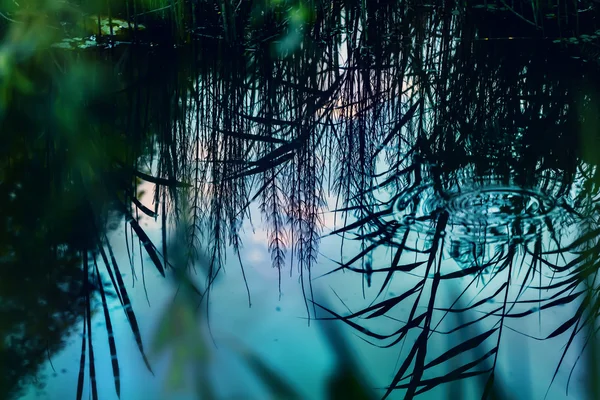 Večer odraz ve vodě — Stock fotografie