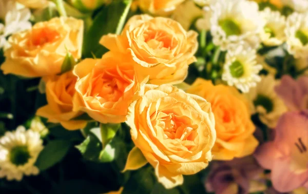 Große gelbe Rosen — Stockfoto