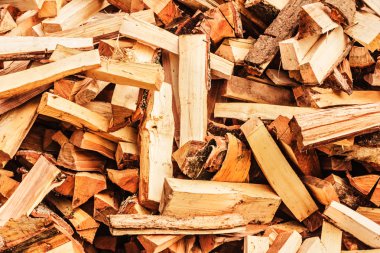 Taze split yakacak odun