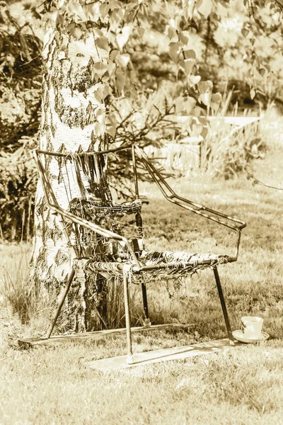 Stary fotel w pobliżu brzoza — Zdjęcie stockowe