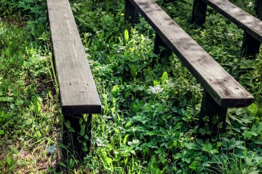 Eski yeşil ahşap banklar 