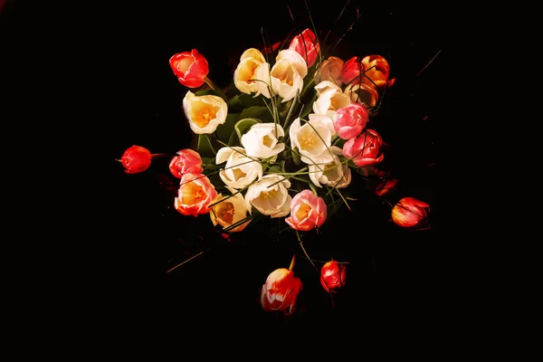 Charmanter Strauß Weißer Und Rosa Tulpen Auf Schwarzem Hintergrund — Stockfoto