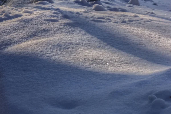 Velké Skutečné Stíny Třpytivém Sněhu Zimě Slunečný Den — Stock fotografie