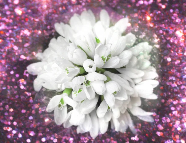 Pretty White Bouquet Snowdrops Funny Purple Shiny Background — Stock Photo, Image